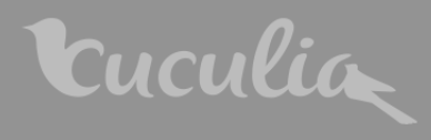 Cuculia Ristorante: A Prestigious Michelin Recognition, Forchettiere Award Winner, and Inimitable Success in Florence’s Culinary Scene