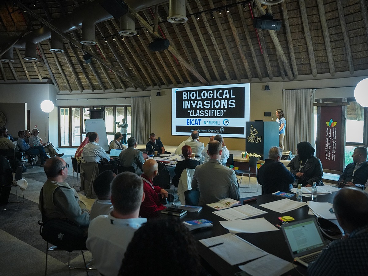 Sharjah International Conservation Forum for Arabian Biodiversity (SICFAB) Discusses Seabird Rescue and the Risks of Invasive Species